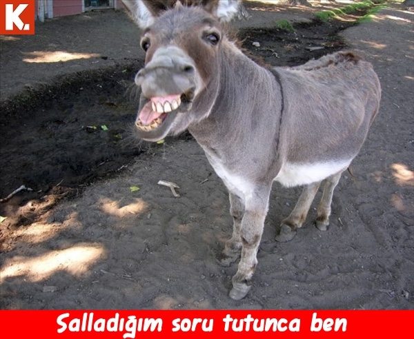 Bilgisayar kapattıran capsler 11