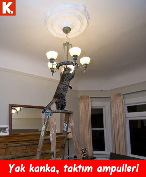 Bilgisayar kapattıran capsler 14