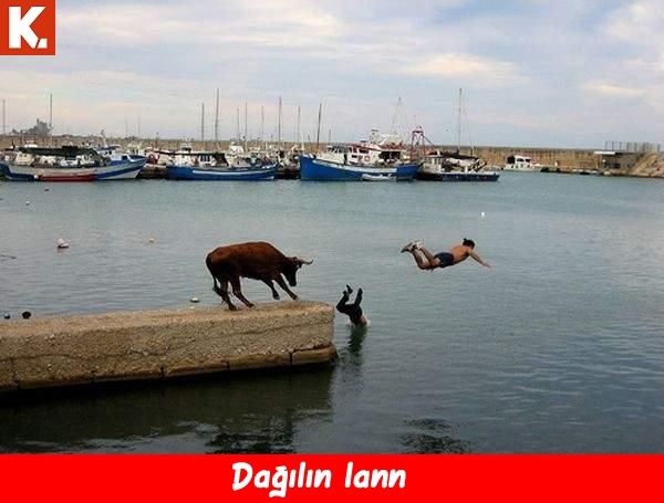 Bilgisayar kapattıran capsler 22