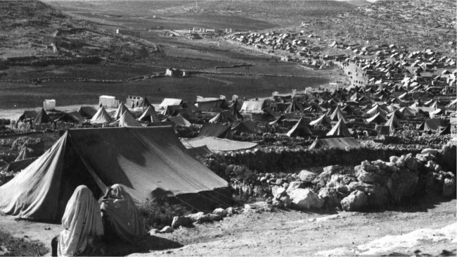 Filistinlilerin büyük felaketi: Nekbe 7