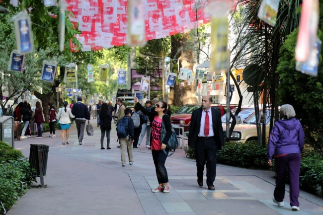 Ağaçlar kitap açtı... 3