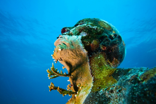 Derin bir nefes alın, dalıyoruz! 6