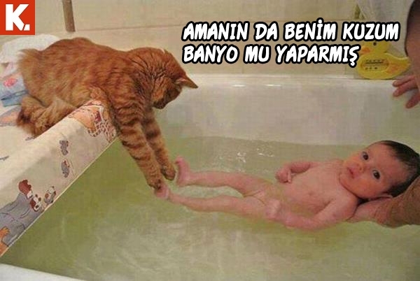 Hayvanlar dile gelirse! 1