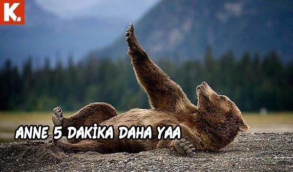 Hayvanlar dile gelirse! 2