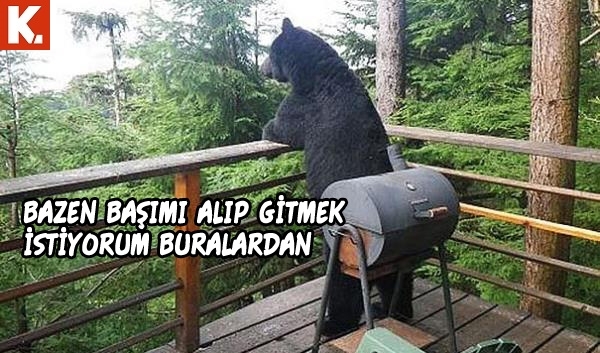 Hayvanlar dile gelirse! 5