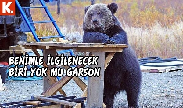 Hayvanlar dile gelirse! 7