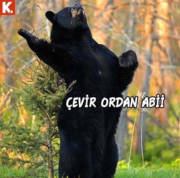 Hayvanlar dile gelirse! 8
