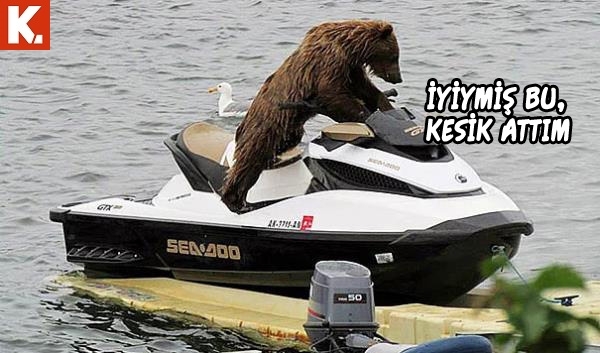 Hayvanlar dile gelirse! 16