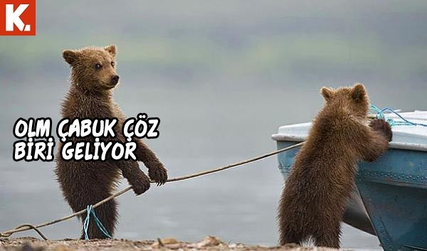 Hayvanlar dile gelirse! 24