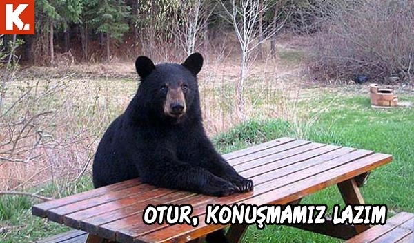 Hayvanlar dile gelirse! 25