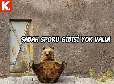 Hayvanlar dile gelirse! 26