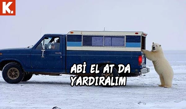 Hayvanlar dile gelirse! 30