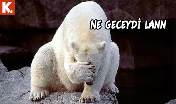 Hayvanlar dile gelirse! 31