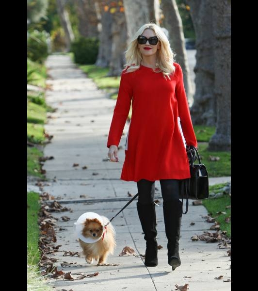 Ünlüler ve sevimli köpekleri 11