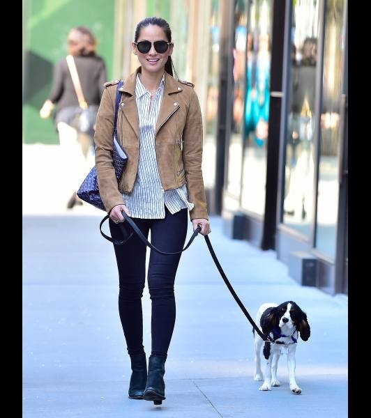 Ünlüler ve sevimli köpekleri 2