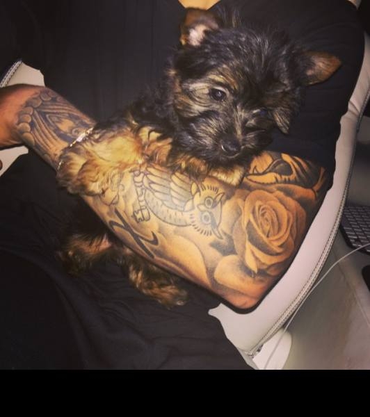 Ünlüler ve sevimli köpekleri 5