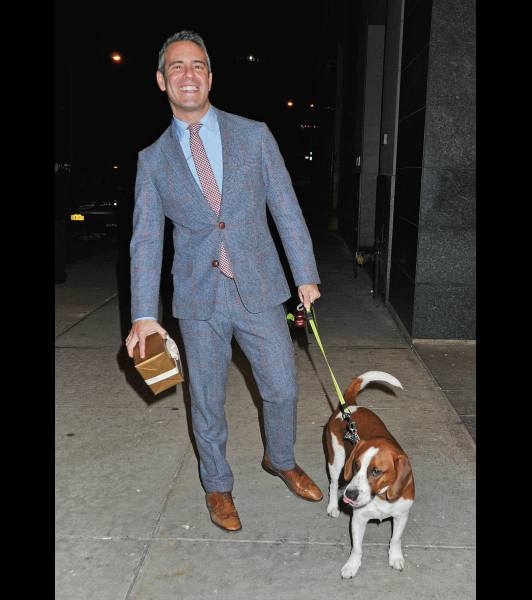 Ünlüler ve sevimli köpekleri 8