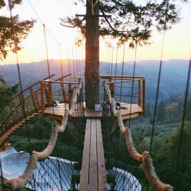 ABD'nin mandıra filozofu 1