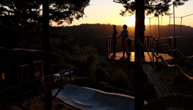 ABD'nin mandıra filozofu 2