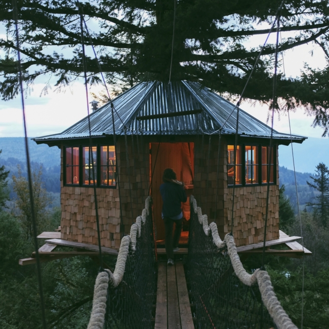 ABD'nin mandıra filozofu 3