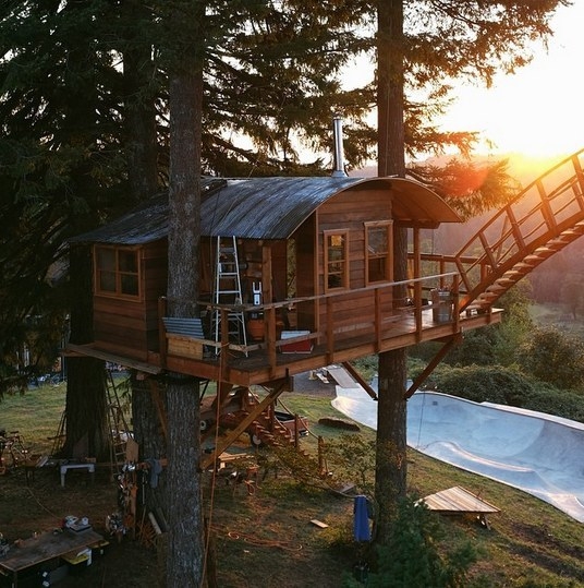 ABD'nin mandıra filozofu 7