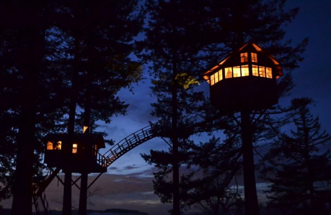 ABD'nin mandıra filozofu 9