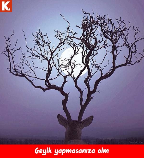 Sıcak havalardan bunalanlara 4