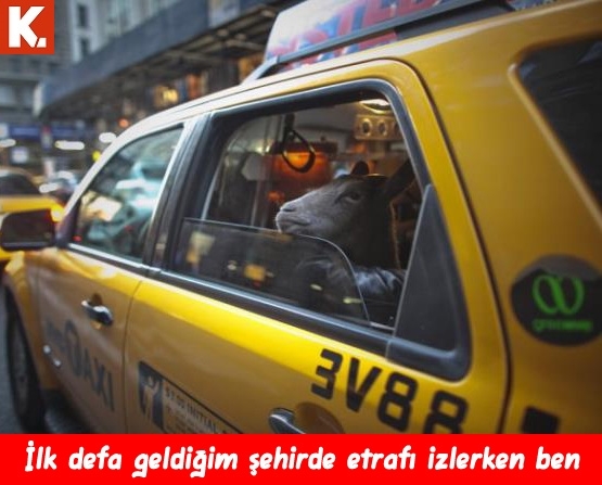 Sıcak havalardan bunalanlara 11