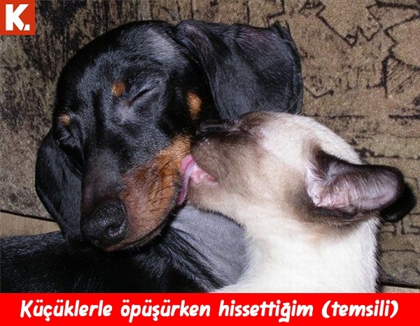 Sıcak havalardan bunalanlara 12