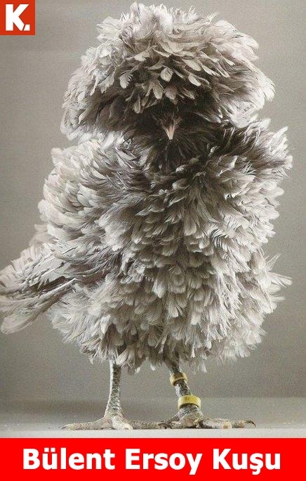 Sıcak havalardan bunalanlara 13