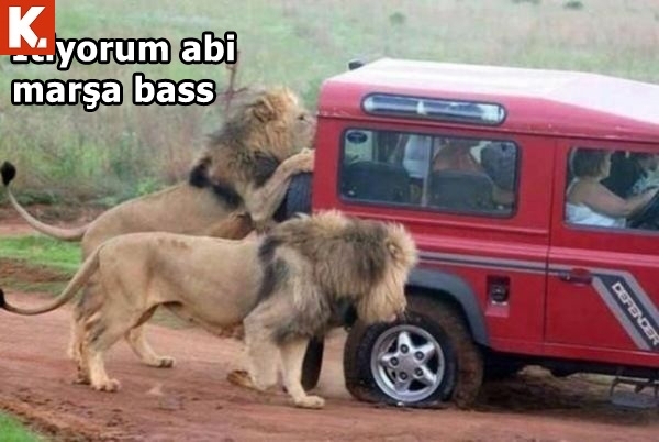 Sıcak havalardan bunalanlara 14