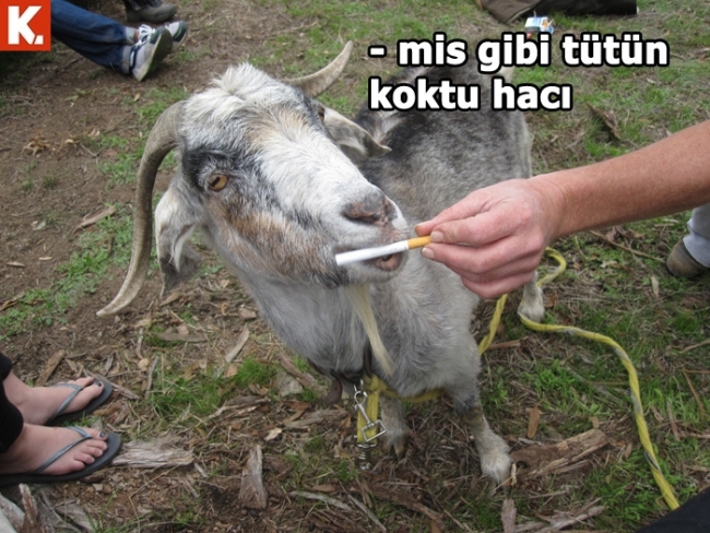 Sıcak havalardan bunalanlara 17