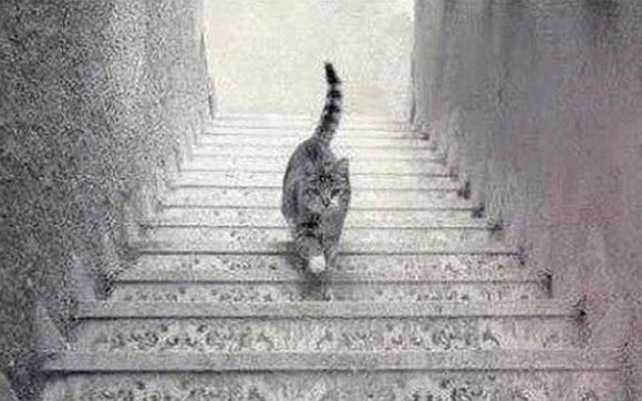 Fotoğrafta gördüğün aslında o değil! 8