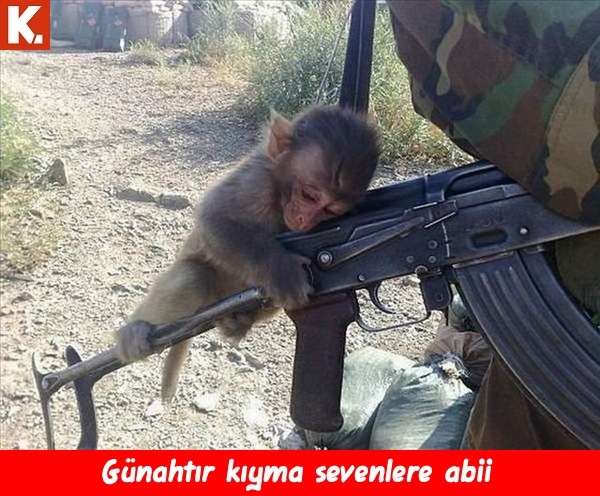 Sıcak havalardan bunalanlara capsler 1