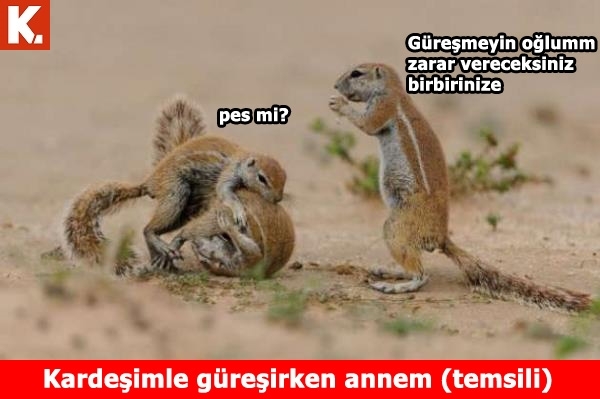 Sıcak havalardan bunalanlara capsler 8