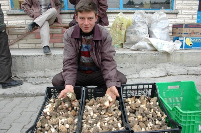 Kilosu bin TL ama zehirli 2