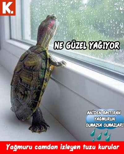 Ani bastıran yağmurun olmazsa olmazları 9