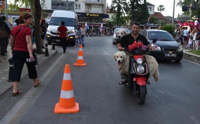 Antalya çiçek açtı 1
