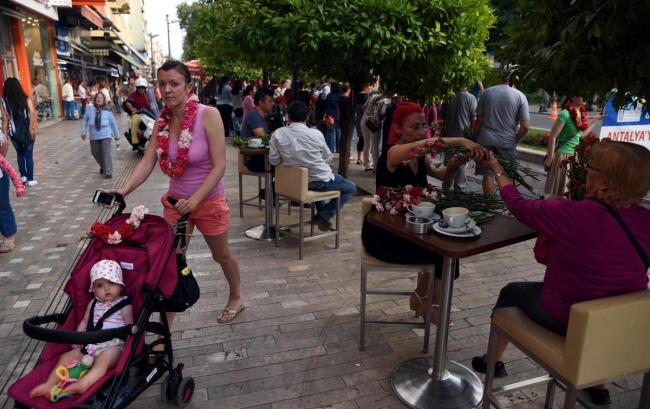 Antalya çiçek açtı 10