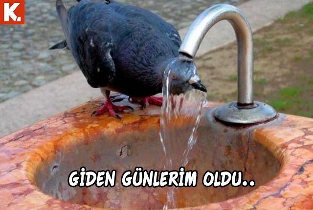 Yorgunluk giderici capsler 8