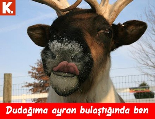 Yorgunluk giderici capsler 4