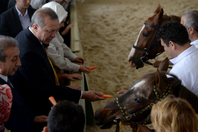 Cumhurbaşkanı Erdoğan Arap Atı Tanıtım ve Hipoterapi Merkezi'ni ziyaret etti. 13