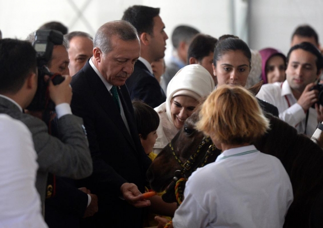 Cumhurbaşkanı Erdoğan Arap Atı Tanıtım ve Hipoterapi Merkezi'ni ziyaret etti. 1