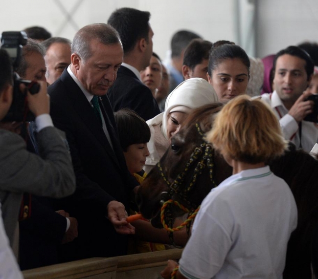 Cumhurbaşkanı Erdoğan Arap Atı Tanıtım ve Hipoterapi Merkezi'ni ziyaret etti. 2