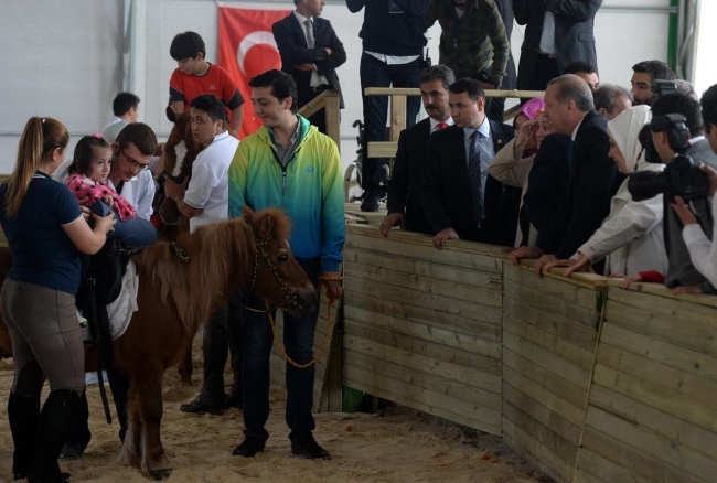 Cumhurbaşkanı Erdoğan Arap Atı Tanıtım ve Hipoterapi Merkezi'ni ziyaret etti. 5