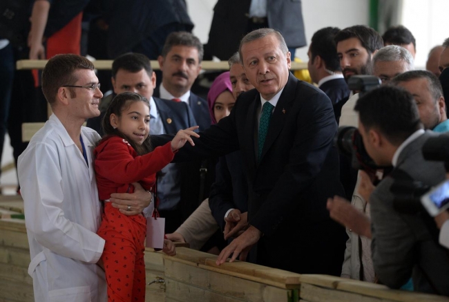 Cumhurbaşkanı Erdoğan Arap Atı Tanıtım ve Hipoterapi Merkezi'ni ziyaret etti. 6