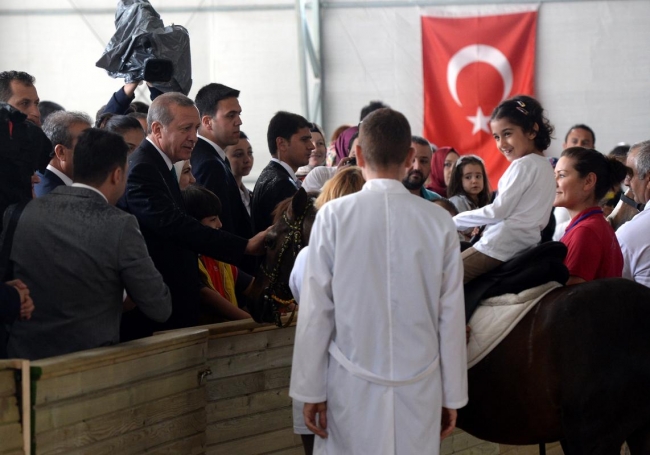 Cumhurbaşkanı Erdoğan Arap Atı Tanıtım ve Hipoterapi Merkezi'ni ziyaret etti. 8