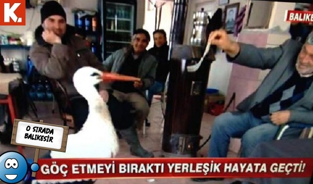 ''O sırada'' vukuatlar 1 6