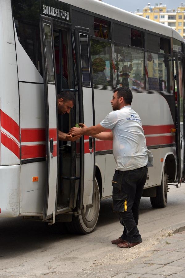 Adana'da kayısı toplama yarışı 7