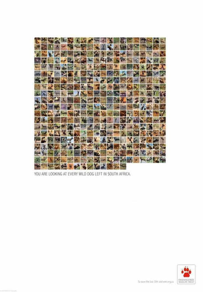 Gelecek insan yapımı olacak 12